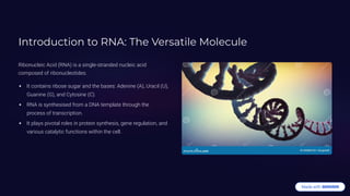 Introduction to RNA: The Versatile Molecule
Ribonucleic Acid (RNA) is a single-stranded nucleic acid
composed of ribonucleotides.
It contains ribose sugar and the bases: Adenine (A), Uracil (U),
Guanine (G), and Cytosine (C).
RNA is synthesised from a DNA template through the
process of transcription.
It plays pivotal roles in protein synthesis, gene regulation, and
various catalytic functions within the cell.
 