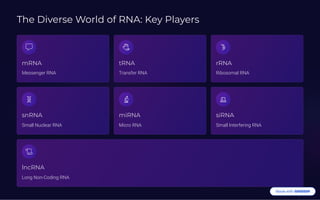 The Diverse World of RNA: Key Players
mRNA
Messenger RNA
tRNA
Transfer RNA
rRNA
Ribosomal RNA
snRNA
Small Nuclear RNA
miRNA
Micro RNA
siRNA
Small Interfering RNA
lncRNA
Long Non-Coding RNA
 
