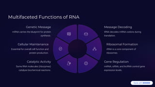Multifaceted Functions of RNA
Genetic Message
mRNA carries the blueprint for protein
synthesis.
Message Decoding
tRNA decodes mRNA codons during
translation.
Ribosomal Formation
rRNA is a core component of
ribosomes.
Gene Regulation
miRNA, siRNA, and lncRNA control gene
expression levels.
Catalytic Activity
Some RNA molecules (ribozymes)
catalyse biochemical reactions.
Cellular Maintenance
Essential for overall cell function and
protein production.
 