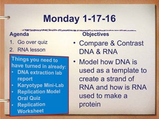 Comparing dna replication and transcription worksheet answers