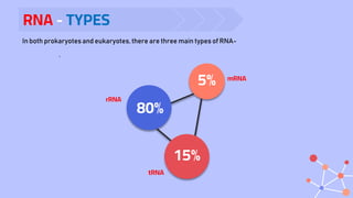 RNA - TYPES
.
In both prokaryotes and eukaryotes,there are three main types of RNA-
5%
80%
15%
rRNA
tRNA
mRNA
 