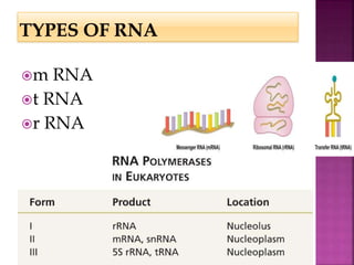 m RNA
t RNA
r RNA