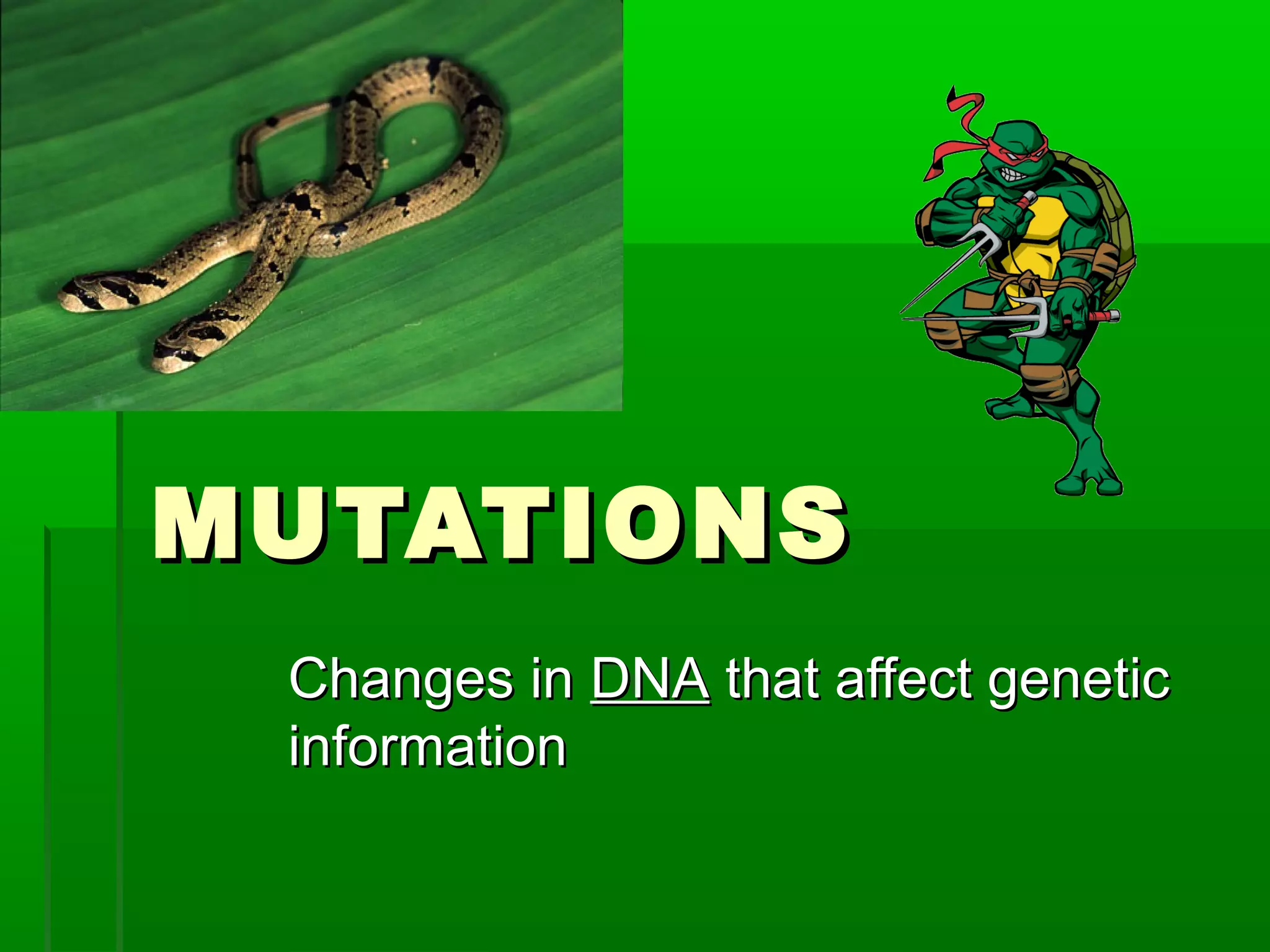 MUTATIONS
 Changes in DNA that affect genetic
 information
 
