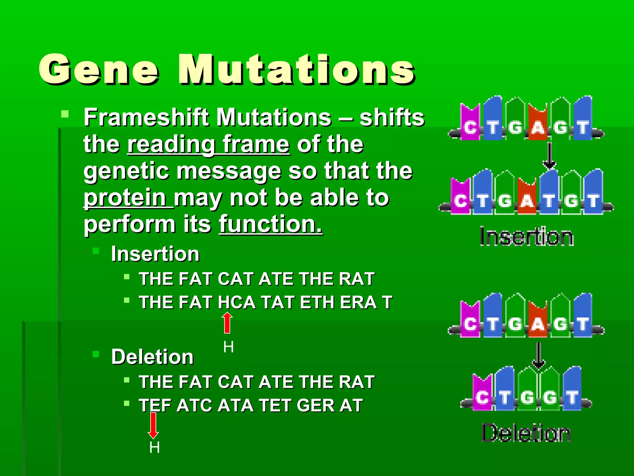 Gene Mutations
 Frameshift Mutations – shifts
  the reading frame of the
  genetic message so that the
  protein may not be able to
  perform its function.
   Insertion
      THE FAT CAT ATE THE RAT
      THE FAT HCA TAT ETH ERA T

                H
   Deletion
      THE FAT CAT ATE THE RAT
      TEF ATC ATA TET GER AT

       H
 