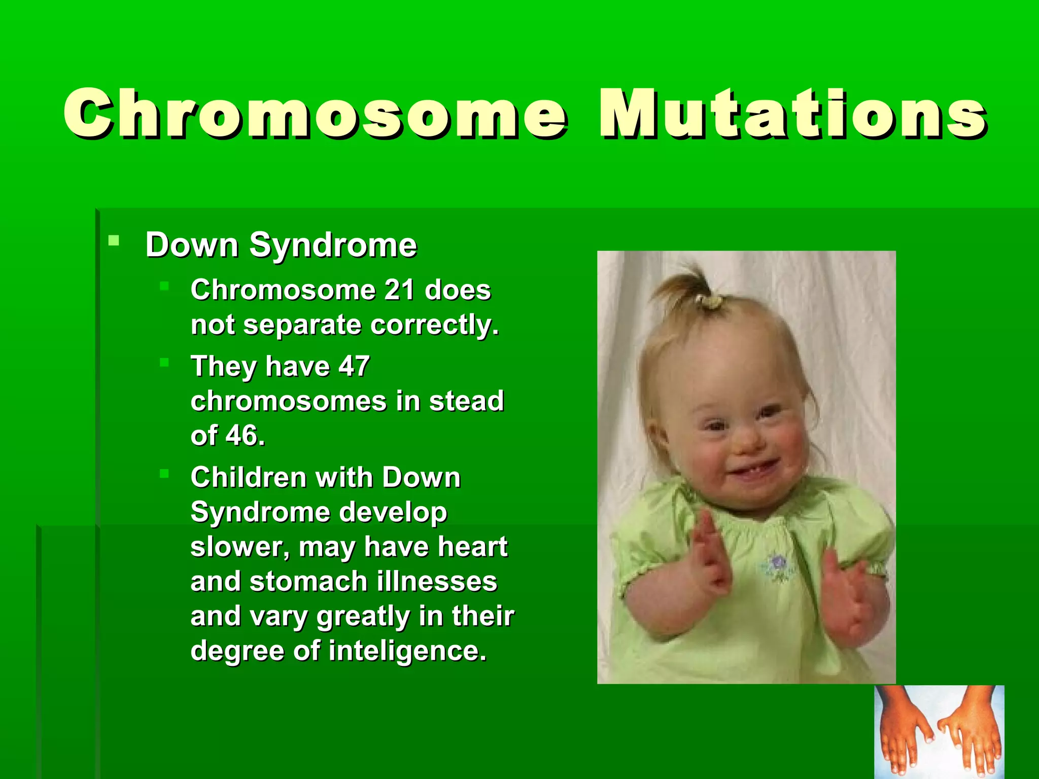 Chromosome Mutations
 Down Syndrome
   Chromosome 21 does
    not separate correctly.
   They have 47
    chromosomes in stead
    of 46.
   Children with Down
    Syndrome develop
    slower, may have heart
    and stomach illnesses
    and vary greatly in their
    degree of inteligence.
 