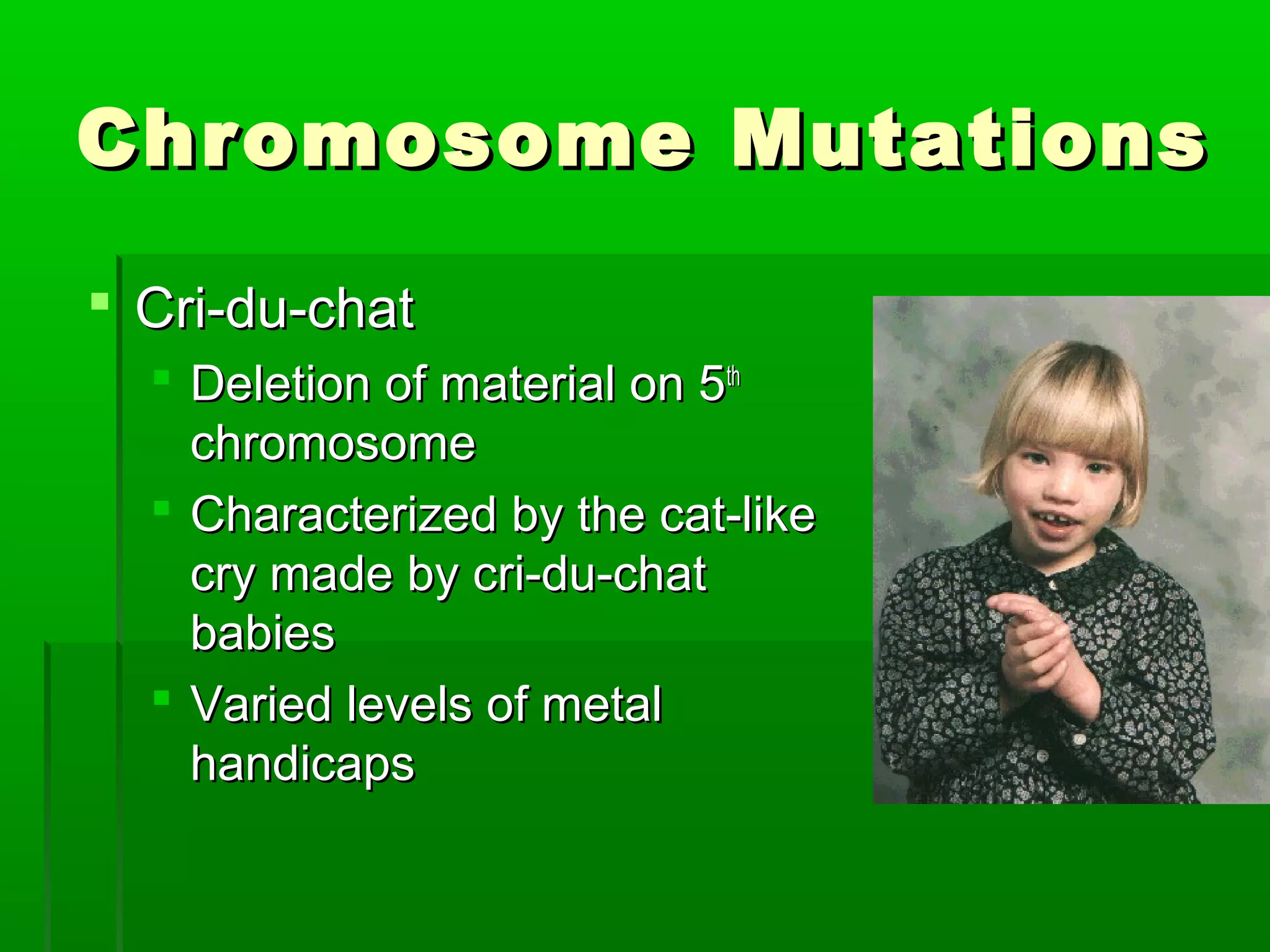 Chromosome Mutations

 Cri-du-chat
   Deletion of material on 5th
    chromosome
   Characterized by the cat-like
    cry made by cri-du-chat
    babies
   Varied levels of metal
    handicaps
 
