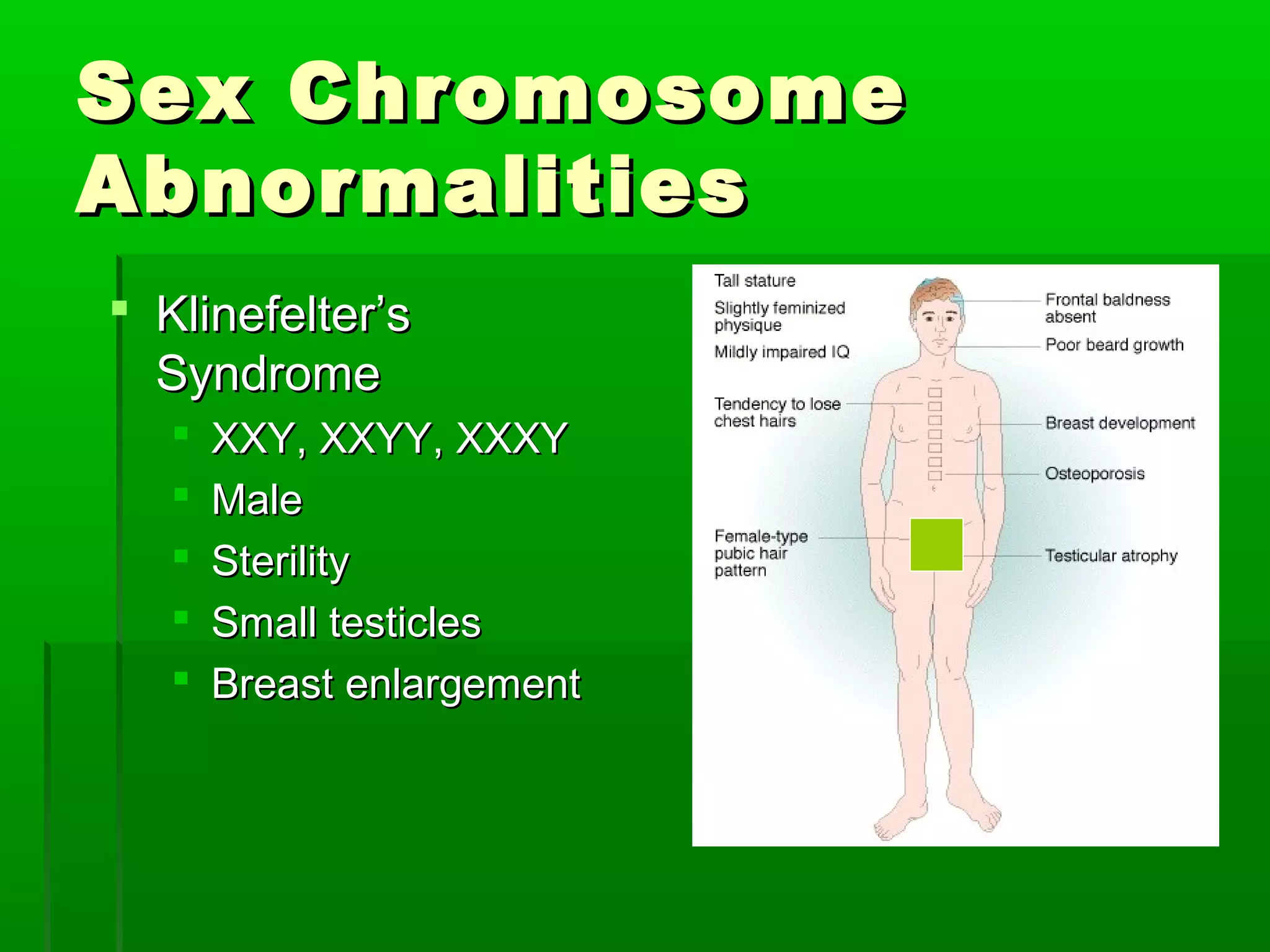 Sex Chromosome
Abnormalities
 Klinefelter’s
  Syndrome
      XXY, XXYY, XXXY
      Male
      Sterility
      Small testicles
      Breast enlargement
 