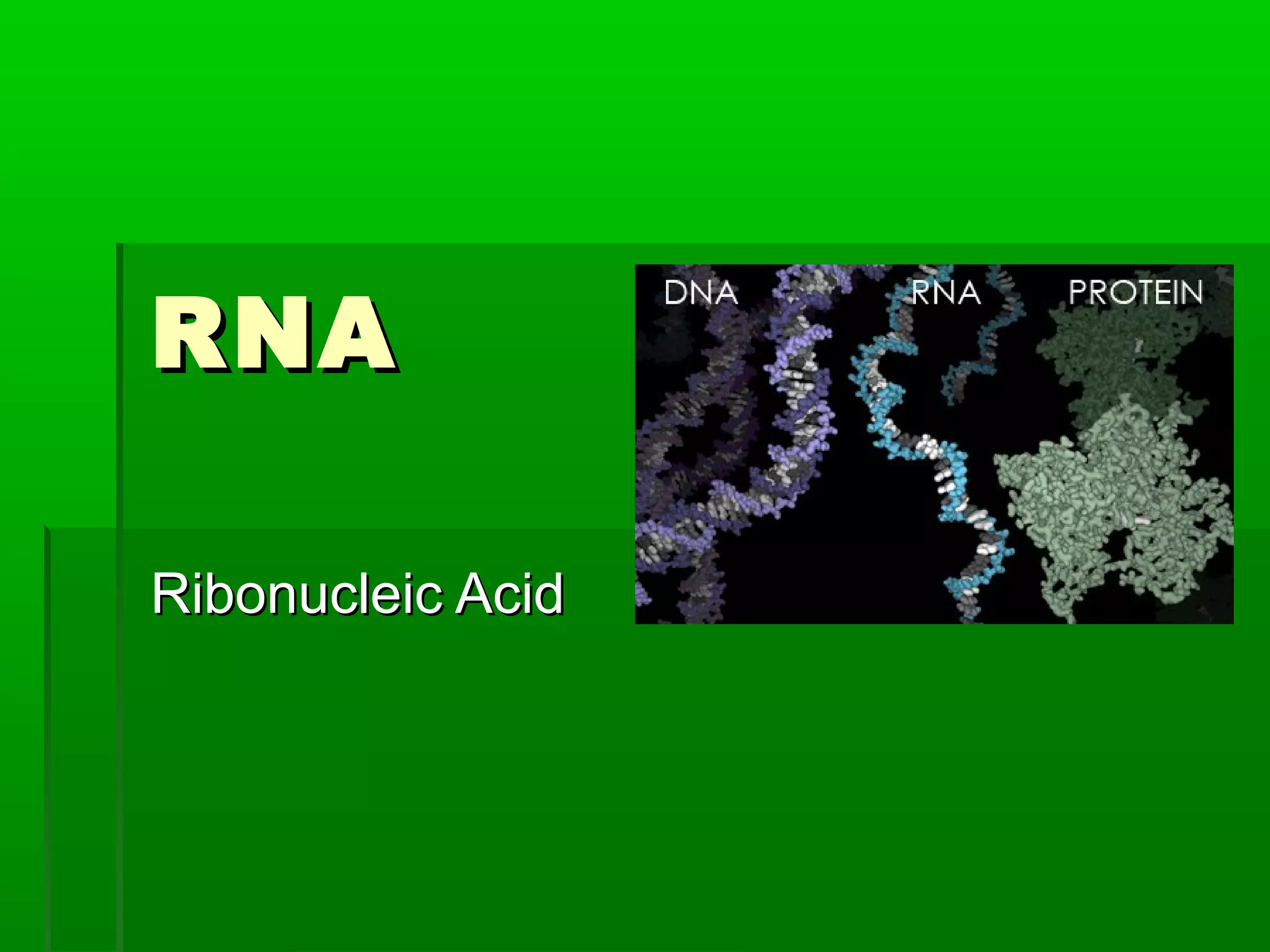 RNA

Ribonucleic Acid
 