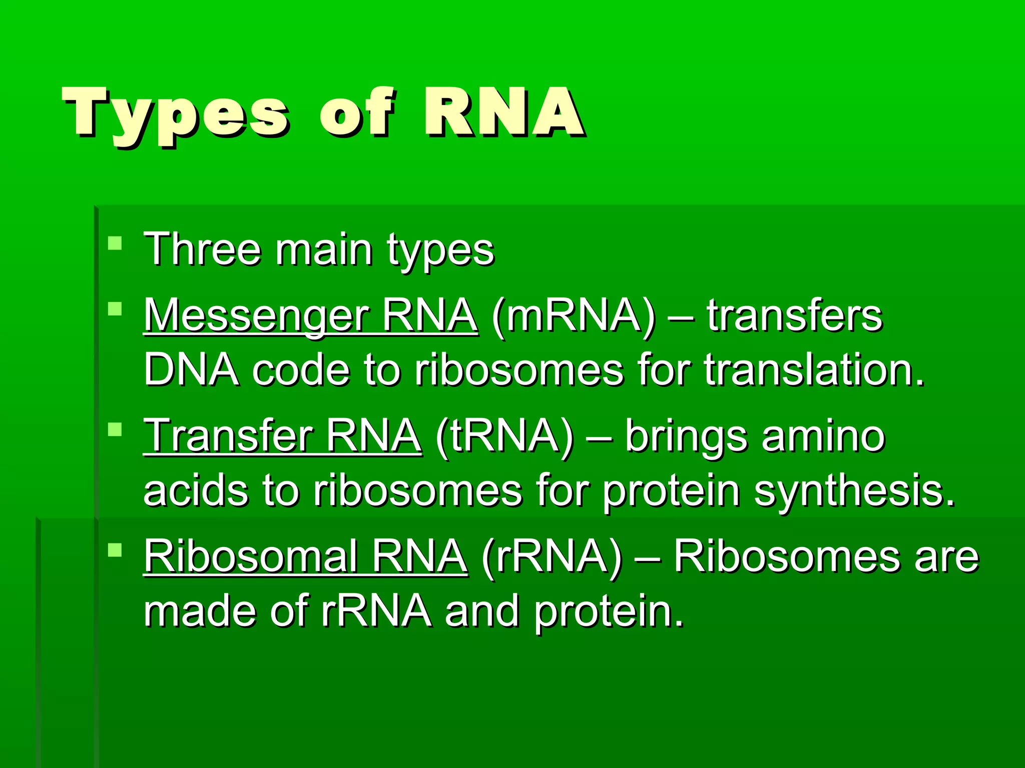 Types of RNA

 Three main types
 Messenger RNA (mRNA) – transfers
  DNA code to ribosomes for translation.
 Transfer RNA (tRNA) – brings amino
  acids to ribosomes for protein synthesis.
 Ribosomal RNA (rRNA) – Ribosomes are
  made of rRNA and protein.
 
