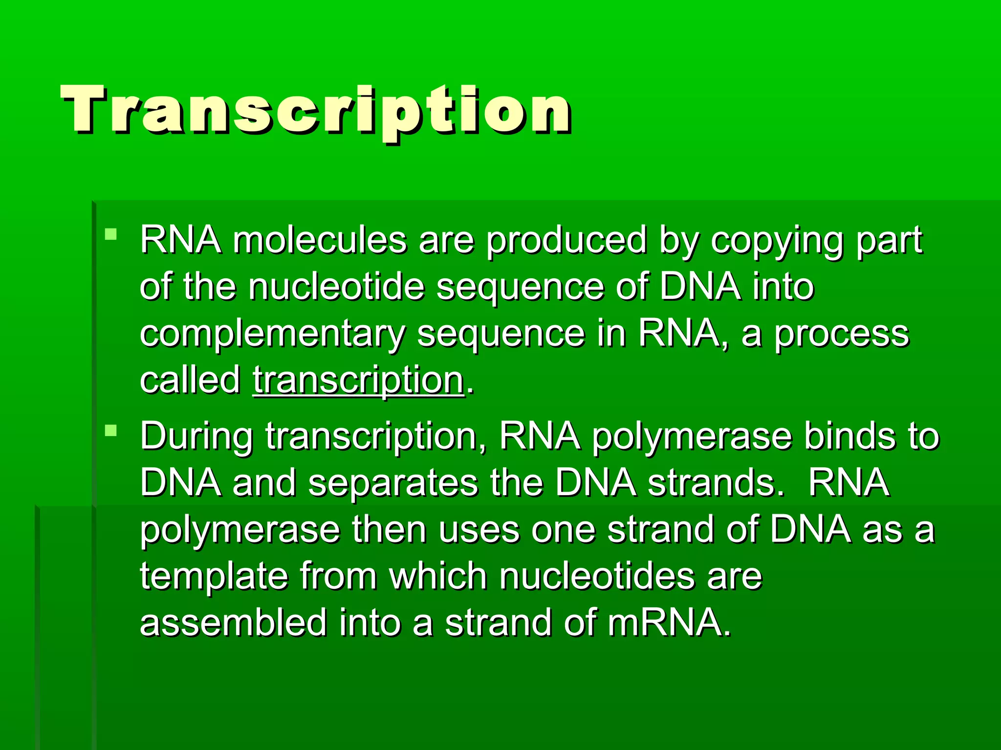 Transcription
  RNA molecules are produced by copying part
   of the nucleotide sequence of DNA into
   complementary sequence in RNA, a process
   called transcription.
  During transcription, RNA polymerase binds to
   DNA and separates the DNA strands. RNA
   polymerase then uses one strand of DNA as a
   template from which nucleotides are
   assembled into a strand of mRNA.
 