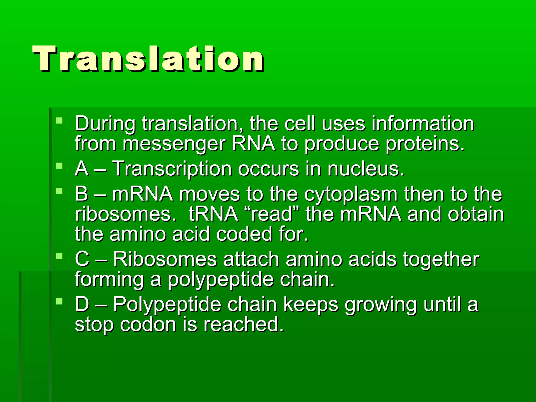 Translation
  During translation, the cell uses information
   from messenger RNA to produce proteins.
  A – Transcription occurs in nucleus.
  B – mRNA moves to the cytoplasm then to the
   ribosomes. tRNA “read” the mRNA and obtain
   the amino acid coded for.
  C – Ribosomes attach amino acids together
   forming a polypeptide chain.
  D – Polypeptide chain keeps growing until a
   stop codon is reached.
 