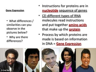 • Instructions for proteins are in
Gene Expression          nucleotide sequence of genes
                       • (2) different types of RNA
• What differences /     molecules read instructions
similarities can you     and put together amino acids
observe in the           that make up the protein
pictures below?
                       • Process by which proteins are
• Why are there
differences?
                         made is based on information
                         in DNA = Gene Expression
 