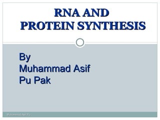 RNA AND  PROTEIN SYNTHESIS By  Muhammad Asif Pu Pak Muhammad Asif Pu 