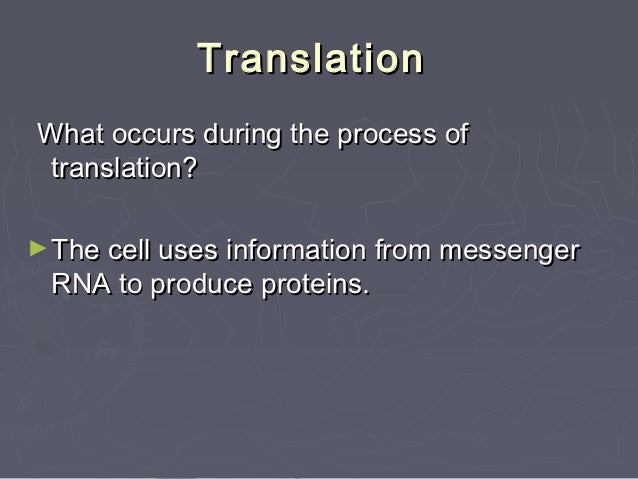 rna and protein synthesis the process of transcription is indicated by the letter