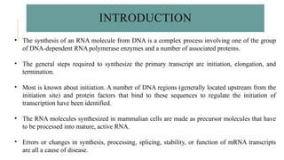 RNA and protein synthesis power point presentation | PPTX