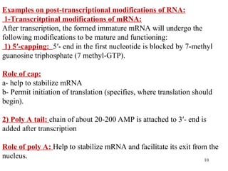 RNA and transcription.ppt [Autosaved].ppt