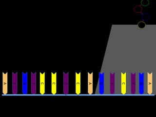 A
G
T
C
T
G
A
C
T
C
C
T
G
T
A

 