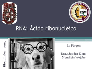 Bioquímica 2cm7

RNA: Ácido ribonucleico
Lu Pérgon
Dra.: Jessica Elena
Mendieta Wejebe

 