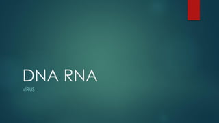 DNA RNA 
VÍRUS  