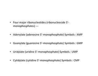 • Four major ribonucleotides (ribonucleoside 5’-
monophosphates) ---
• Adenylate (adenosine 5’-monophosphate) Symbols : AMP
• Guanylate (guanosine 5’-monophosphate) Symbols : GMP
• Uridylate (uridine 5’-monophosphate) Symbols : UMP
• Cytidylate (cytidine 5’-monophosphate) Symbols : CMP
 
