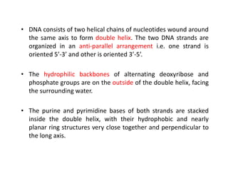 • DNA consists of two helical chains of nucleotides wound around
the same axis to form double helix. The two DNA strands are
organized in an anti-parallel arrangement i.e. one strand is
oriented 5’-3’ and other is oriented 3’-5’.
• The hydrophilic backbones of alternating deoxyribose and
phosphate groups are on the outside of the double helix, facing
the surrounding water.
the surrounding water.
• The purine and pyrimidine bases of both strands are stacked
inside the double helix, with their hydrophobic and nearly
planar ring structures very close together and perpendicular to
the long axis.
 