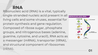 RNA DNAAAAAAAAAAAAAAAAAAAAAAAAAAAAAAAAAAAA.pdf