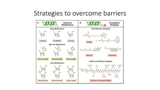Strategies, Modifications, and Materials for RNA Delivery In Vitro and ...