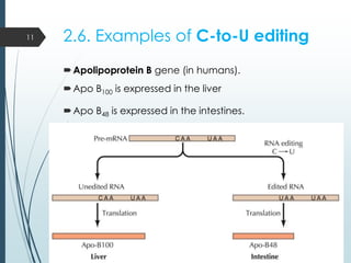 2.6. Examples of C-to-U editing
Apolipoprotein B gene (in humans).
Apo B100 is expressed in the liver
Apo B48 is expressed in the intestines.
11
 