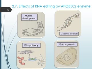 2.7. Effects of RNA editing by APOBECs enzyme
12
 