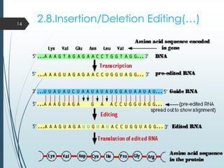 2.8.Insertion/Deletion Editing(…)14
 