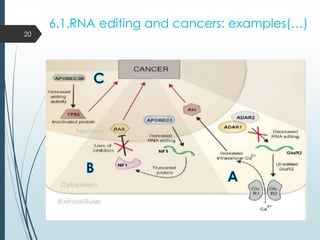 6.1.RNA editing and cancers: examples(…)
20
 