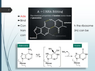 2.2 ADARs
Adenosine Deaminases Acting on RNA
Binds to double stranded RNA
Convert adenosine to inosine (A-to-I),which the ribosome
translates as a G. Thus a CAG codon (for Gln) can be
converted to a CGG codon (for Arg).
7
 