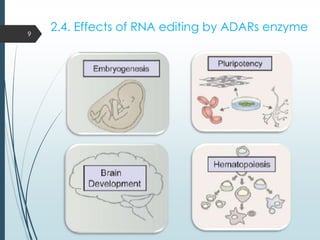 2.4. Effects of RNA editing by ADARs enzyme9
 