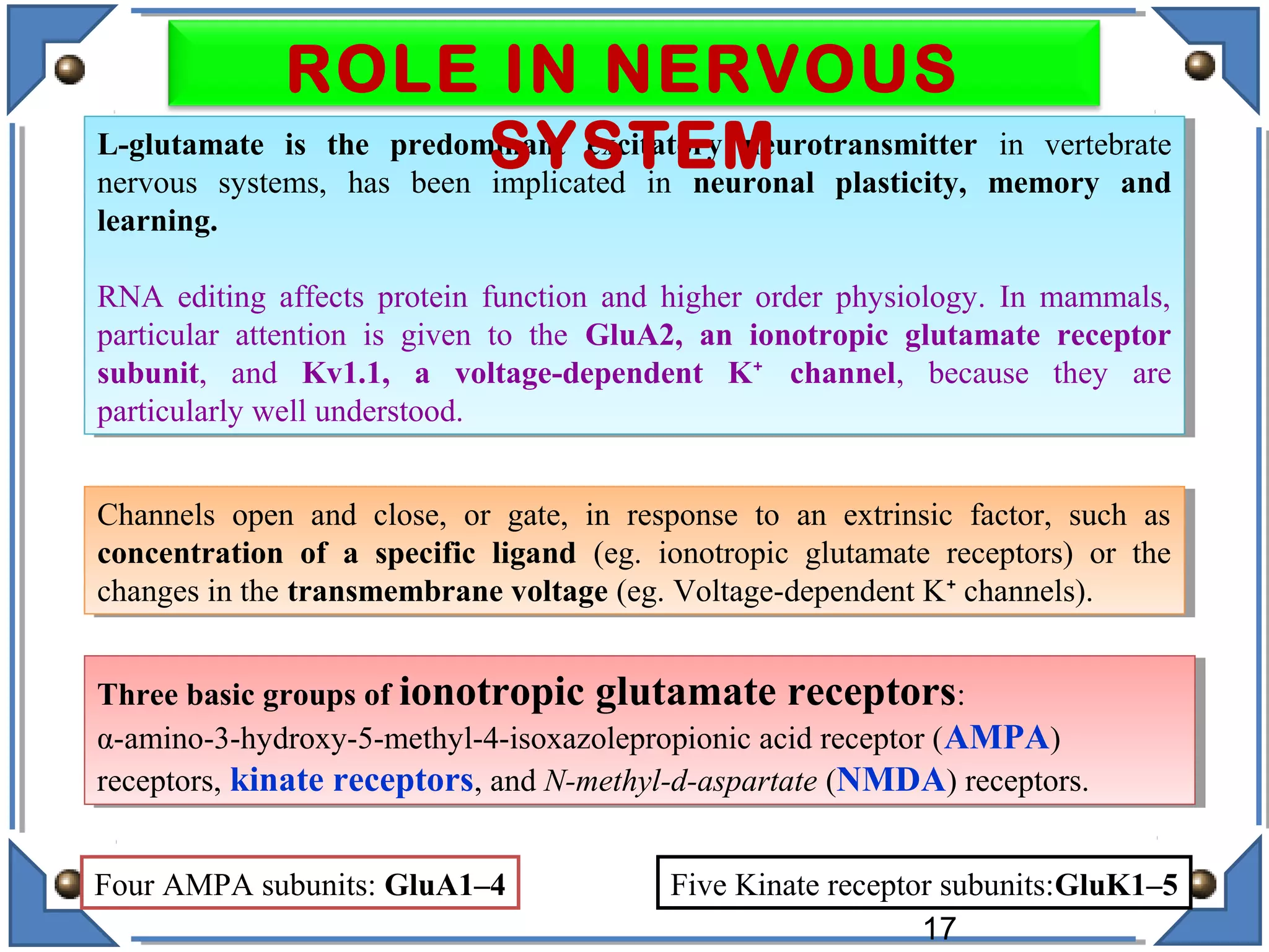 L-glutamate is the predominant excitatory neurotransmitter in vertebrate
nervous systems, has been implicated in neuronal plasticity, memory and
learning.
RNA editing affects protein function and higher order physiology. In mammals,
particular attention is given to the GluA2, an ionotropic glutamate receptor
subunit, and Kv1.1, a voltage-dependent K channel⁺ , because they are
particularly well understood.
L-glutamate is the predominant excitatory neurotransmitter in vertebrate
nervous systems, has been implicated in neuronal plasticity, memory and
learning.
RNA editing affects protein function and higher order physiology. In mammals,
particular attention is given to the GluA2, an ionotropic glutamate receptor
subunit, and Kv1.1, a voltage-dependent K channel⁺ , because they are
particularly well understood.
Channels open and close, or gate, in response to an extrinsic factor, such as
concentration of a specific ligand (eg. ionotropic glutamate receptors) or the
changes in the transmembrane voltage (eg. Voltage-dependent K channels).⁺
Channels open and close, or gate, in response to an extrinsic factor, such as
concentration of a specific ligand (eg. ionotropic glutamate receptors) or the
changes in the transmembrane voltage (eg. Voltage-dependent K channels).⁺
Four AMPA subunits: GluA1–4 Five Kinate receptor subunits:GluK1–5
Three basic groups of ionotropic glutamate receptors:
α-amino-3-hydroxy-5-methyl-4-isoxazolepropionic acid receptor (AMPA)
receptors, kinate receptors, and N-methyl-d-aspartate (NMDA) receptors.
Three basic groups of ionotropic glutamate receptors:
α-amino-3-hydroxy-5-methyl-4-isoxazolepropionic acid receptor (AMPA)
receptors, kinate receptors, and N-methyl-d-aspartate (NMDA) receptors.
17
ROLE IN NERVOUS
SYSTEM
 