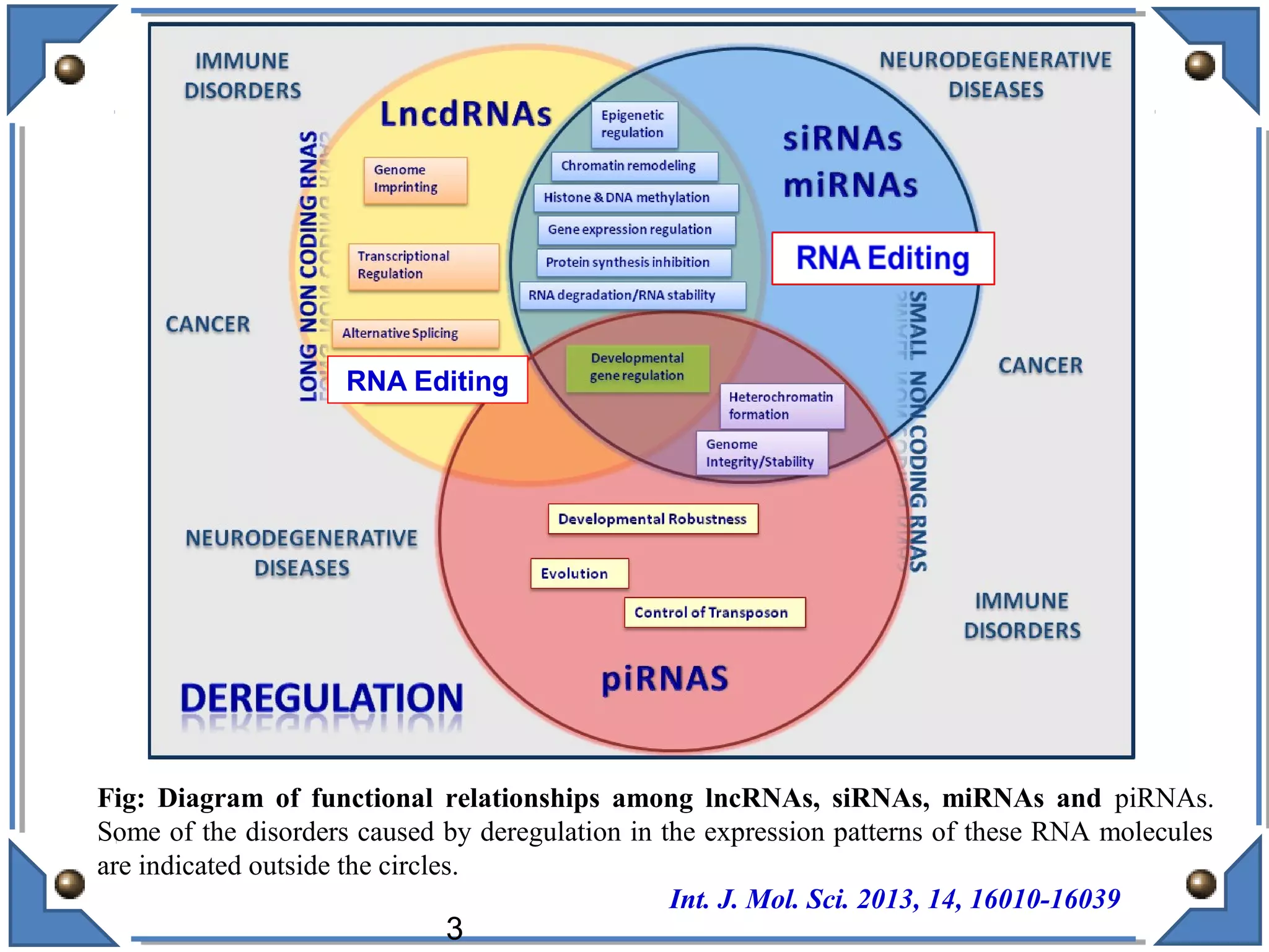 Fig: Diagram of functional relationships among lncRNAs, siRNAs, miRNAs and piRNAs.
Some of the disorders caused by deregulation in the expression patterns of these RNA molecules
are indicated outside the circles.
Int. J. Mol. Sci. 2013, 14, 16010-16039
RNA Editing
3
 