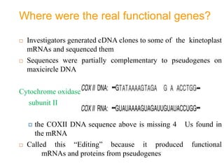 RNA Editing.pptx