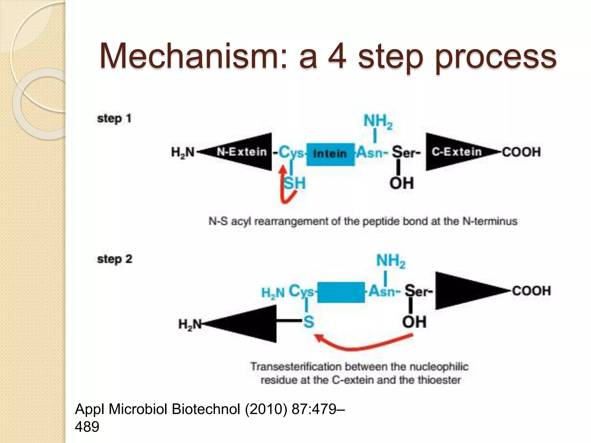 Mechanism: a 4 step process
Appl Microbiol Biotechnol (2010) 87:479–
489
 