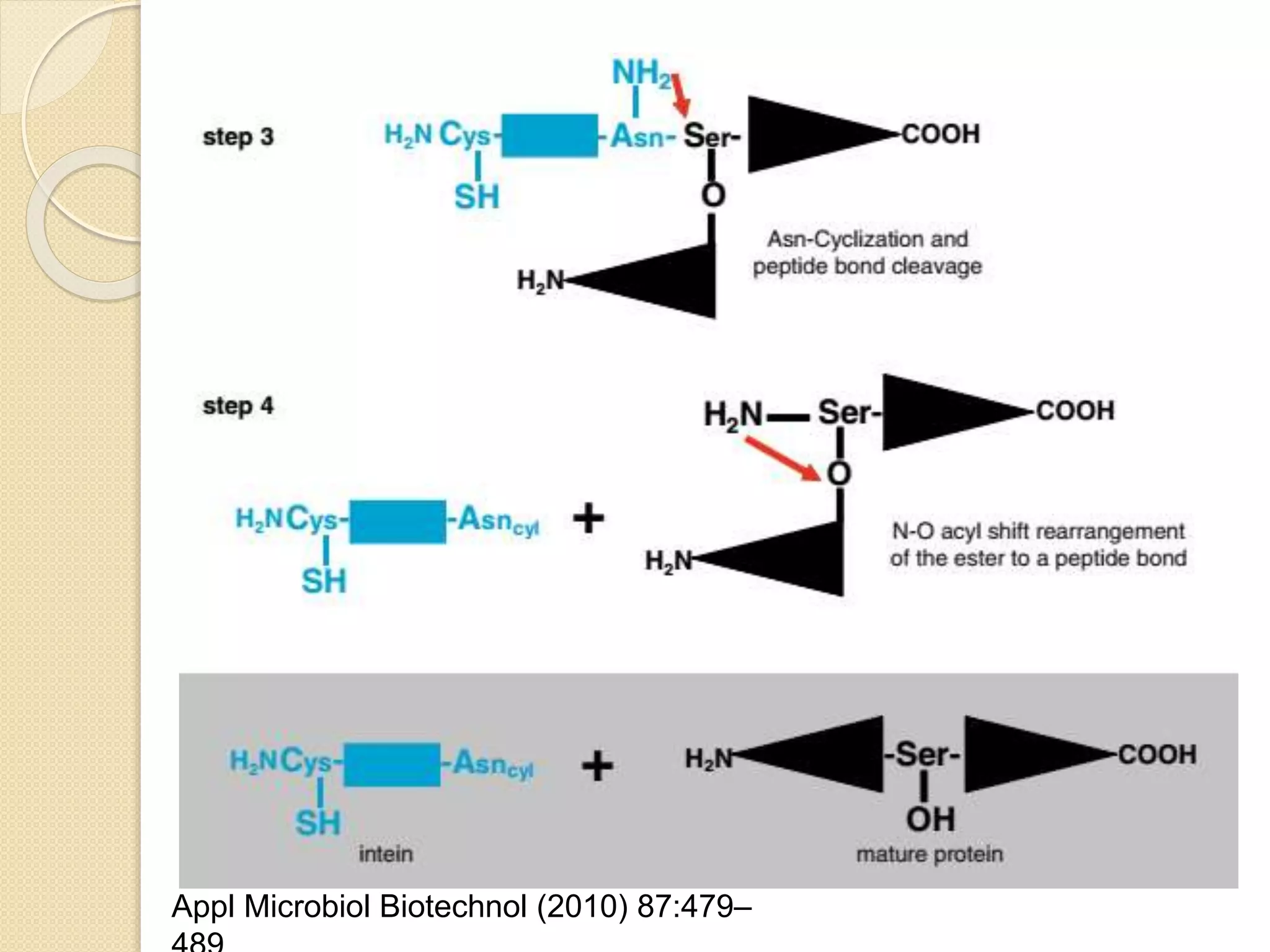 Appl Microbiol Biotechnol (2010) 87:479–
 