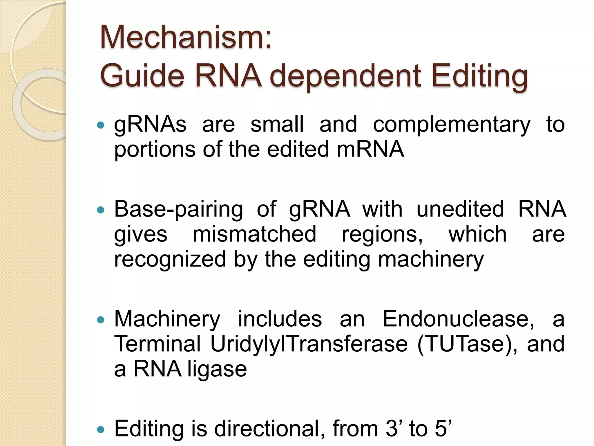 Mechanism:
Guide RNA dependent Editing
 gRNAs are small and complementary to
portions of the edited mRNA
 Base-pairing of gRNA with unedited RNA
gives mismatched regions, which are
recognized by the editing machinery
 Machinery includes an Endonuclease, a
Terminal UridylylTransferase (TUTase), and
a RNA ligase
 Editing is directional, from 3’ to 5’
 