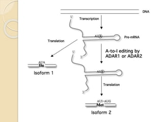 Rna editing, protein splicing & codon bias | PPTX