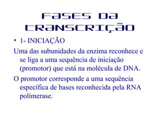 FASES DA
TRANSCRIÇÃO
• 1- INICIAÇÃO
Uma das subunidades da enzima reconhece e
se liga a uma sequência de iniciação
(promotor) que está na molécula de DNA.
O promotor corresponde a uma sequência
específica de bases reconhecida pela RNA
polimerase.
 