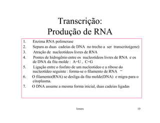 Rna E SíNtese ProteíNas.Ppt  Modo De Compatibilidade