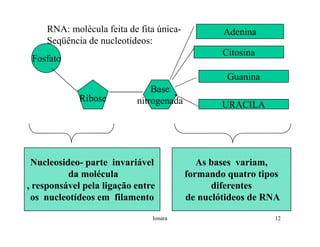 Rna E SíNtese ProteíNas.Ppt  Modo De Compatibilidade