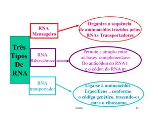 Rna E SíNtese ProteíNas.Ppt  Modo De Compatibilidade