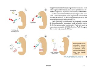 Rna E SíNtese ProteíNas.Ppt  Modo De Compatibilidade