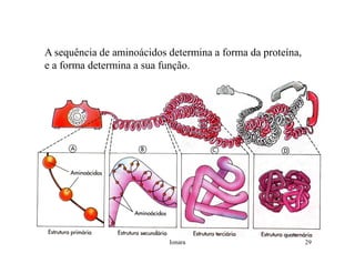 Rna E SíNtese ProteíNas.Ppt  Modo De Compatibilidade
