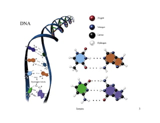 Rna E SíNtese ProteíNas.Ppt  Modo De Compatibilidade