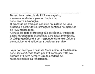 Rna E SíNtese ProteíNas.Ppt  Modo De Compatibilidade