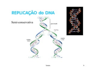 Rna E SíNtese ProteíNas.Ppt  Modo De Compatibilidade