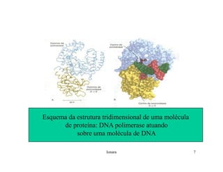 Rna E SíNtese ProteíNas.Ppt  Modo De Compatibilidade